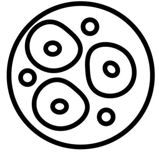 Stem Cells Icon