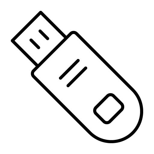 Flash Disk Icon