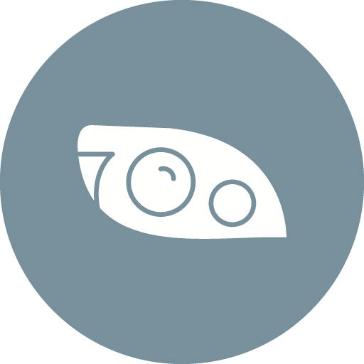 Headlight Glyph Circle Icon