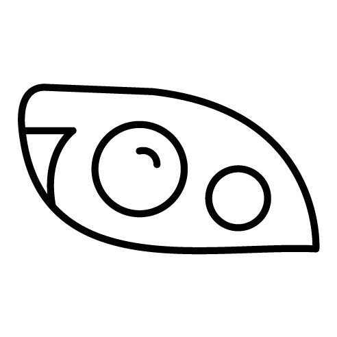 Headlight Icon