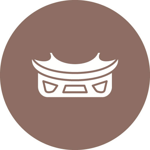 Bumper Glyph Circle Icon