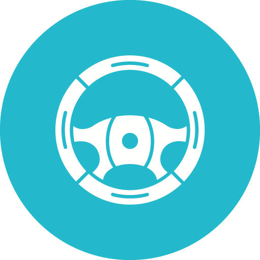 Steering Wheel Glyph Circle Icon