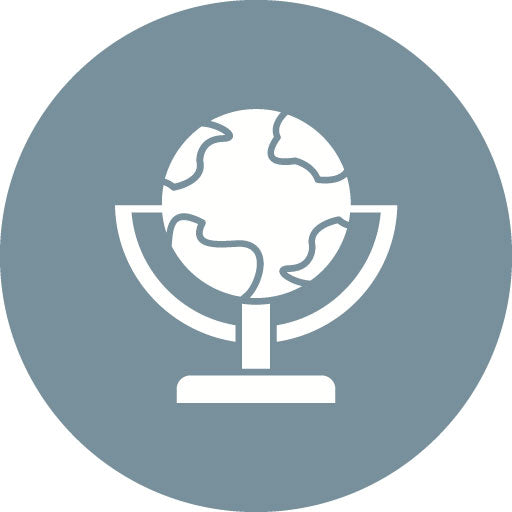 Globe Glyph Circle Icon