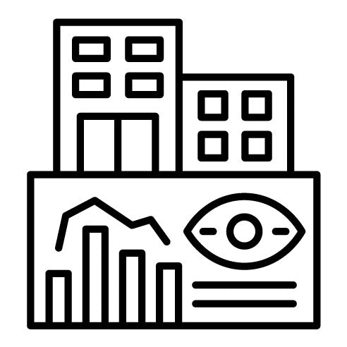 Company Vision Icon