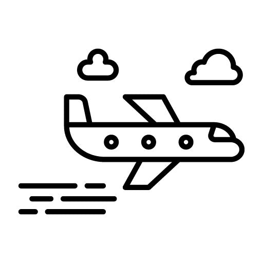 Flight Icon