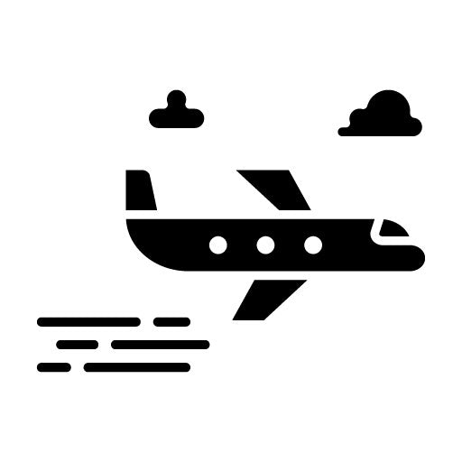 Flight Glyph Icon