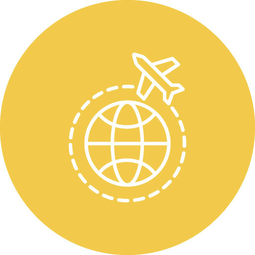 Global Line Circle Icon