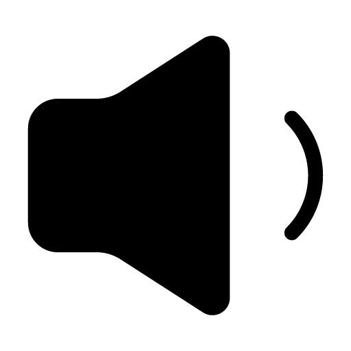 Volume Down Glyph Icon