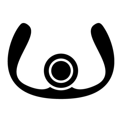 Aeroplane Steering Wheel Glyph Icon