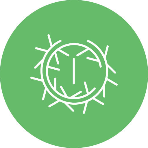 Tumbleweed Line Circle Icon