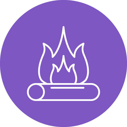 Bonfire Line Circle Icon