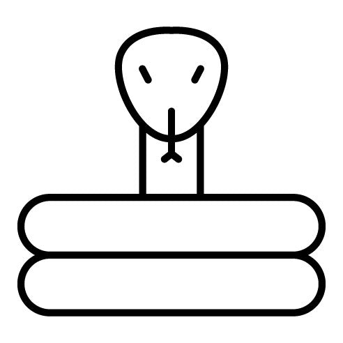 Snake Icon | Wild West