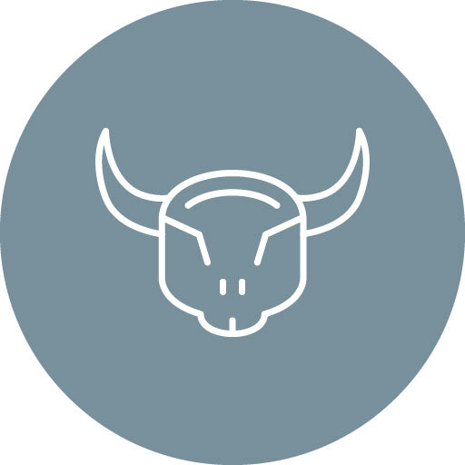 Bull Skull Line Circle Icon