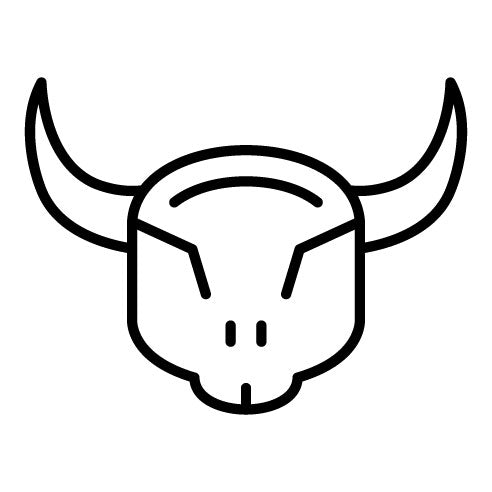 Bull Skull Icon | Wild West