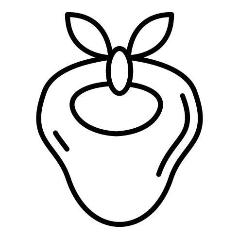 Bandana Icon | Wild West
