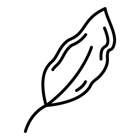 Feather Icon | Wild West