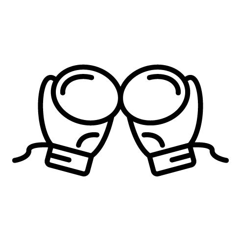 Boxing Gloves Icon