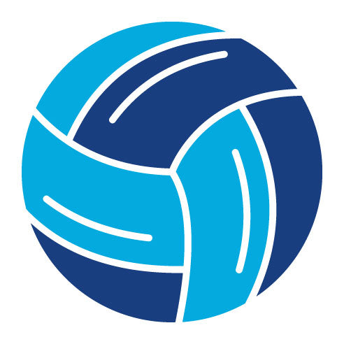 Two Color Volleyball Glyph Icon