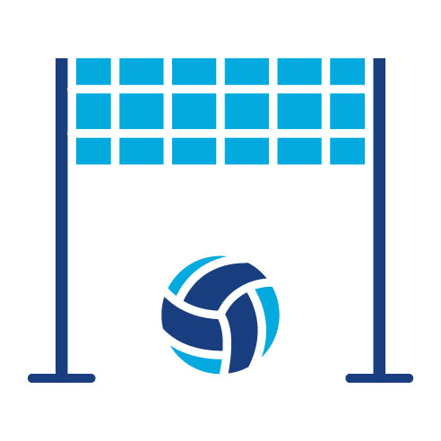 Two Color Volleyball Net Glyph Icon