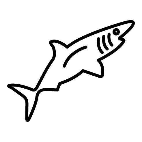 Shark Icon