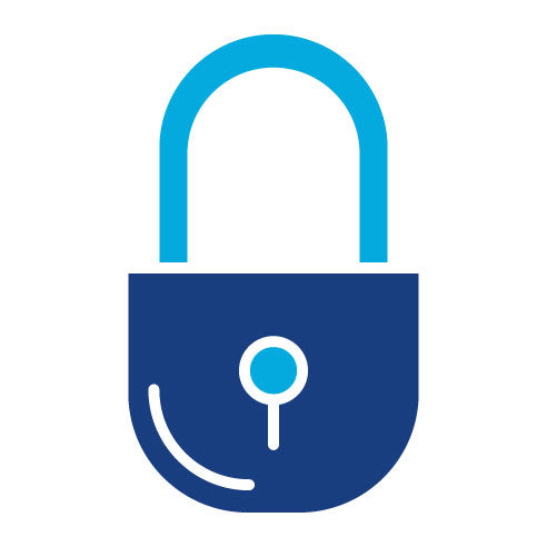 Two Color Padlock Glyph Icon