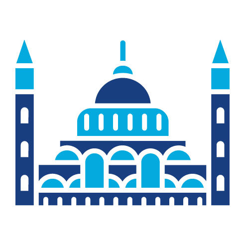 Two Color Hungarian Parliament Glyph Icon