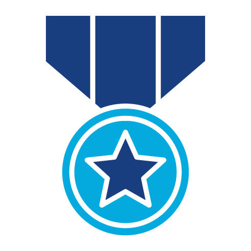 Two Color Army Medal Glyph Icon