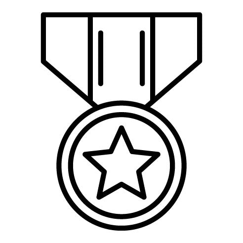 Army Medal Icon
