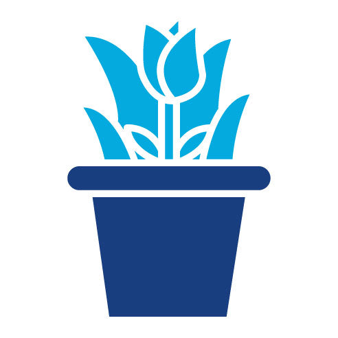 Two Color Flower Pot Glyph Icon