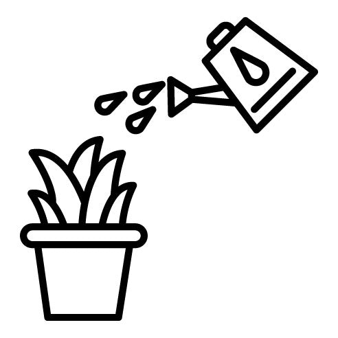 Watering Plants Icon