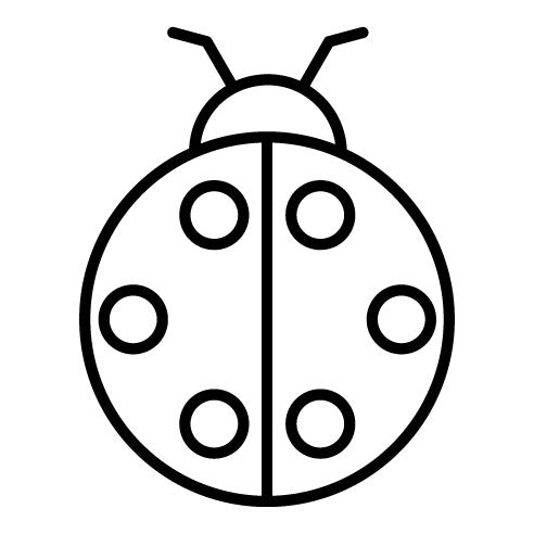 Ladybug Icon