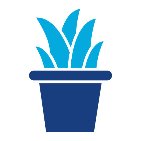 Two Color Plant Pot Glyph Icon