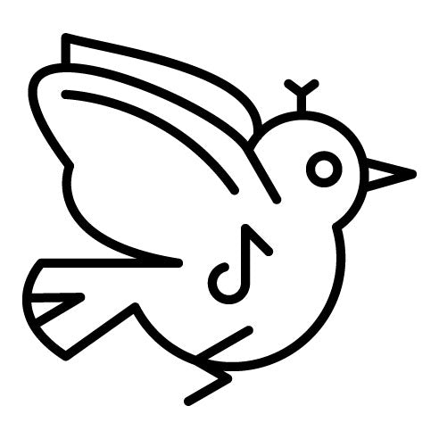 Spring Birds Icon