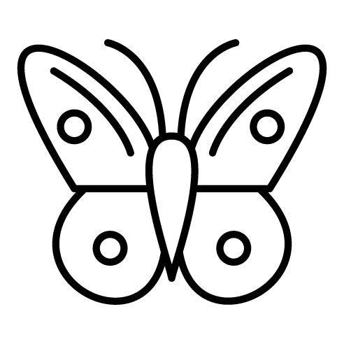 Butterflies Icon