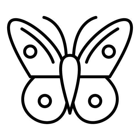 Butterflies Icon