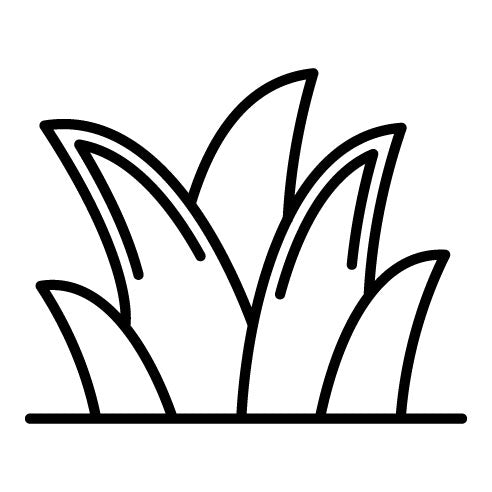 Grass Icon | Spring