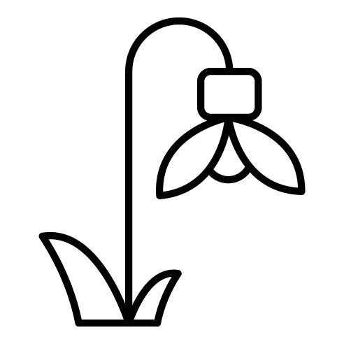 Snowdrop Icon