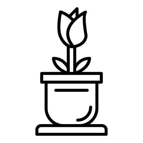 Tulip Icon