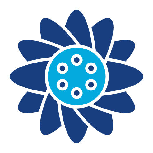 Two Color Sunflower Glyph Icon