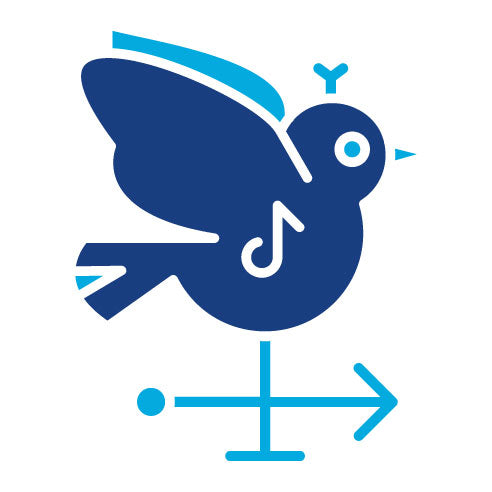 Two Color Weathercock Glyph Icon