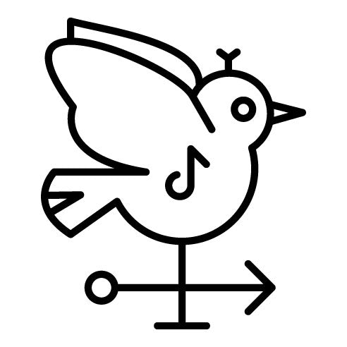 Weathercock Icon