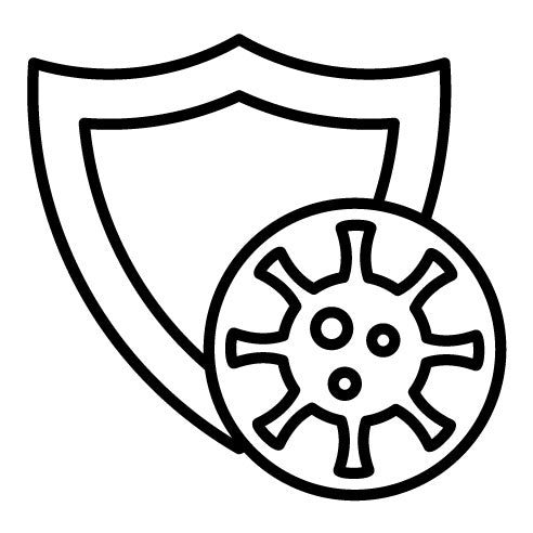 Virus Protection Icon