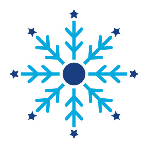 Two Color Snowflake Glyph Icon