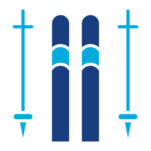 Two Color Ski Sticks Glyph Icon