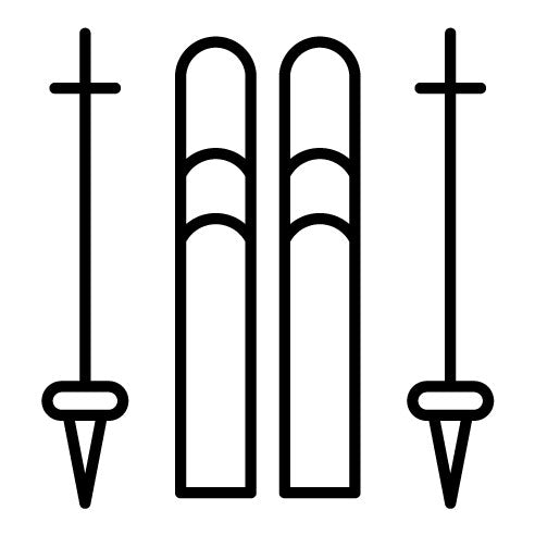 Ski Sticks Icon