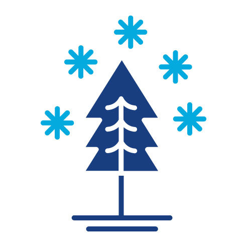 Two Color Winter Glyph Icon