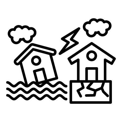 Natural Disaster Icon