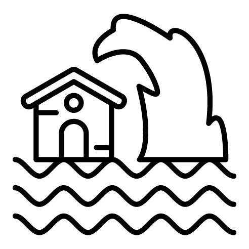 Tsunami Icon