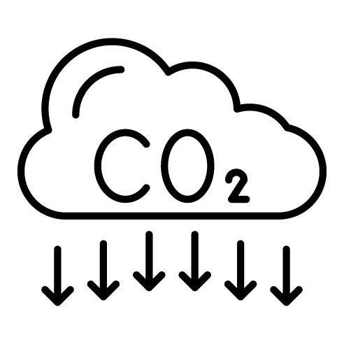 CO2 Pollution Icon