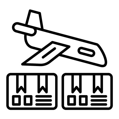 Airplane Delivery Icon